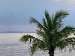 -四海轩(珠海海泉湾店)