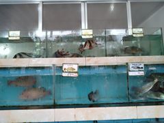 水产区-秋姐美食店(旅游大道店)