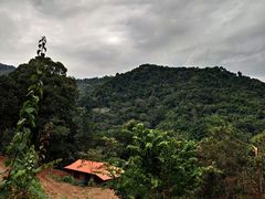 -清迈丛林飞跃 JungleFlight