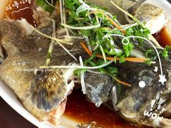 -岛中岛·海鲜大排档·万宁老字号(东澳店)