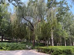 -南长河公园