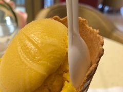 芒果雪葩-哈根达斯(龙湖时代天街店)