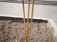 -龙口南山旅游景区