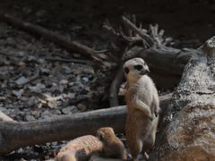 -杭州少年儿童公园