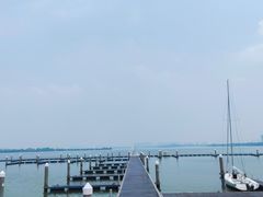 -瑶湖郊野森林公园