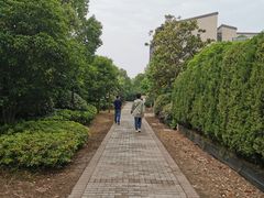 -上海崇明金茂凯悦酒店