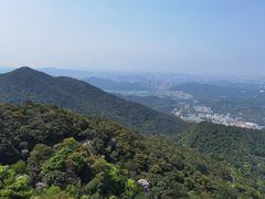 -梧桐山风景名胜区