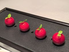 樱桃山药-觅唐MITONG(鸟巢店)