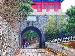 -云岗森林公园