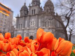 -王府井天主教堂