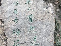 -香雪海