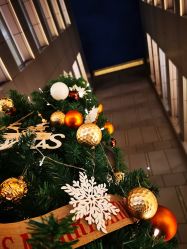 -禧月荟S月子中心(侨城店)