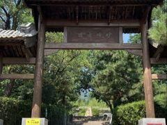 -阳台山自然风景区