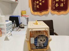 -守诺宠物医院·眼科· 特色牙科·异宠专科(虹口店)
