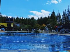 -黄海国家森林公园