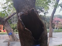 -柳侯公园