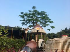 -花溪雨·森林餐厅(石基店)