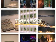 -广东中医药博物馆