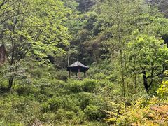 -夏霖九天银瀑风景区