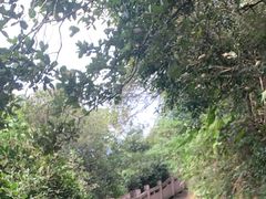 -杭州半山国家森林公园