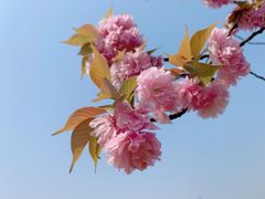 -白塘生态植物园