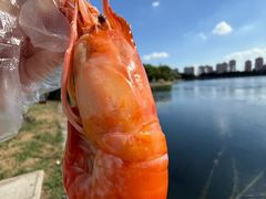 -蟹天蟹地农家菜·阳澄湖大闸蟹(浅水湾店)