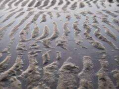 -长江澳风力发电景观区
