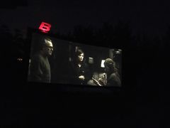 -枫花园汽车电影院(朝阳公园店)