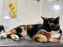 -牛佬牛杂汤(金花直街店)