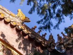 -故宫博物院(故宫)