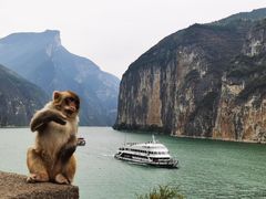 -白帝城·瞿塘峡景区