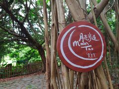 -华侨城湿地公园