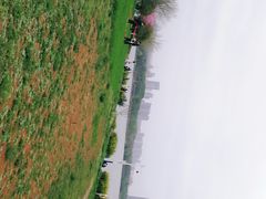 -安徽大学(磬苑校区)