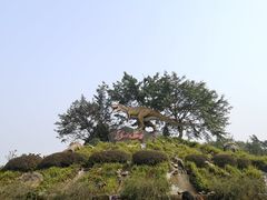 景点-自贡恐龙博物馆