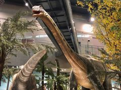 -湖南省地质博物馆