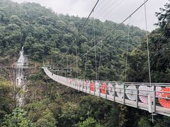 -九龙江国家森林公园