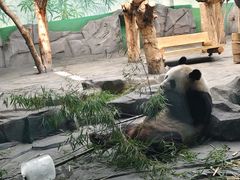 -秦皇岛野生动物园