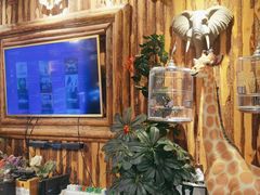 -西西里轰趴日租聚会别墅·团建拓展