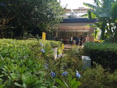 -艾溪湖湿地公园