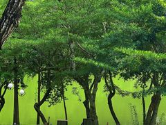 -莲花山公园
