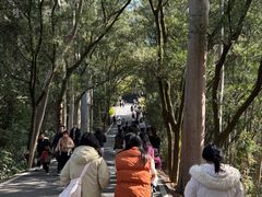 -白云山风景名胜区