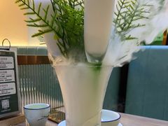 -探窝·竹笙椰子鸡(杨箕店)