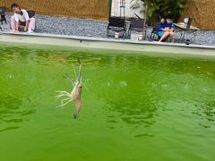 -DGE季风钓虾营地·团建·聚会