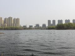 -蒲河岛湿地公园