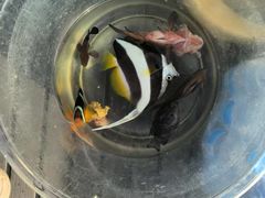 -小猫钓鱼海钓俱乐部(椰梦长廊店)