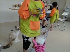 -怪兽屋·羊驼·猫咖·狗咖(俊华广场店)