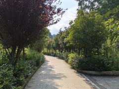 -高荡千年布依古寨旅游景区