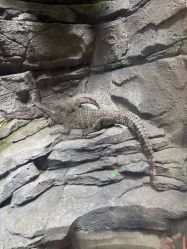 -Zoolung Zoolung动物主题公园(海信广场店)