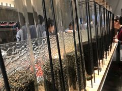 -喜茶(上海兴业太古汇店)