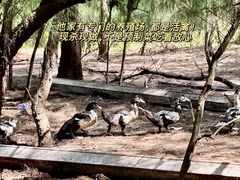 -坛南湾阿强农家乐.海鲜大排档老字号(福州地标美食店)